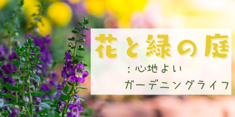 ていねいなくらし